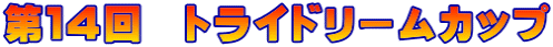 第１４回　トライドリームカップ